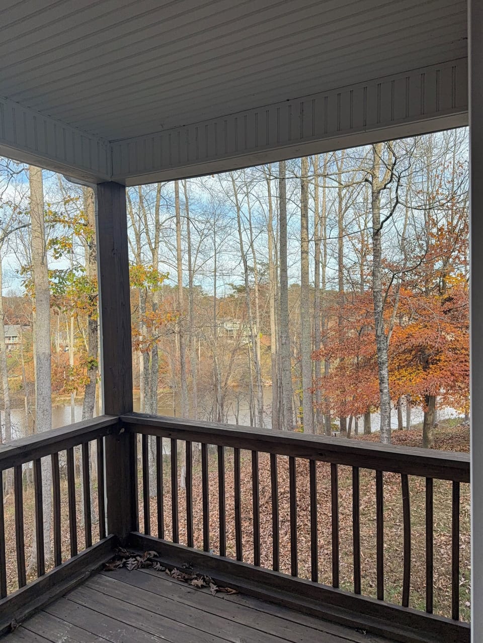 View from back deck