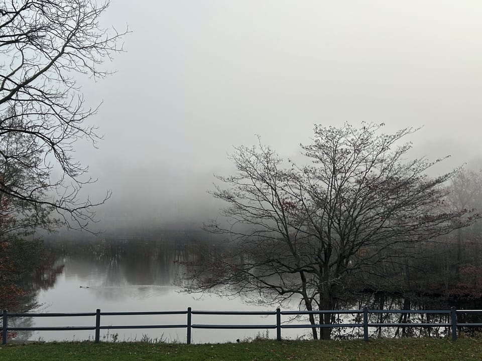 Foggy day
