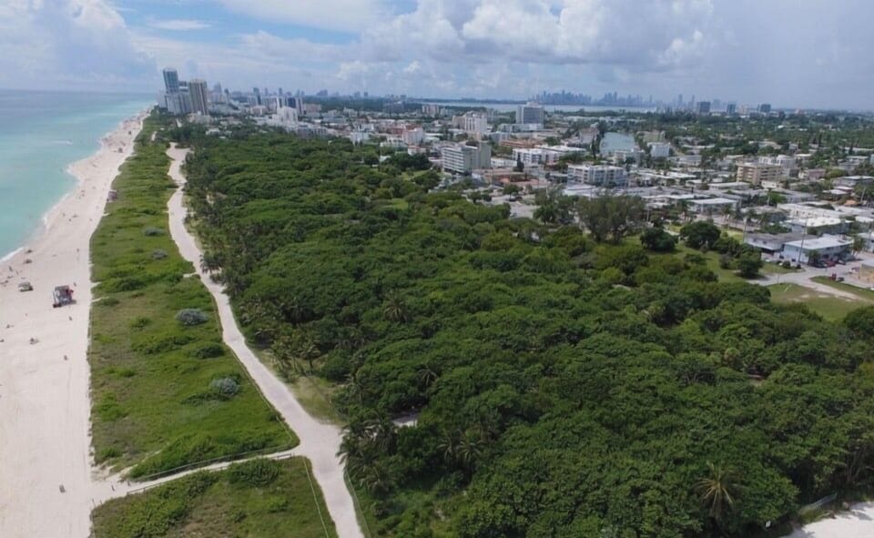 Aerial view