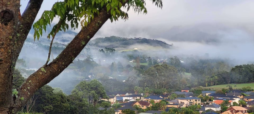 Morning fog, photo taken from the driveway.