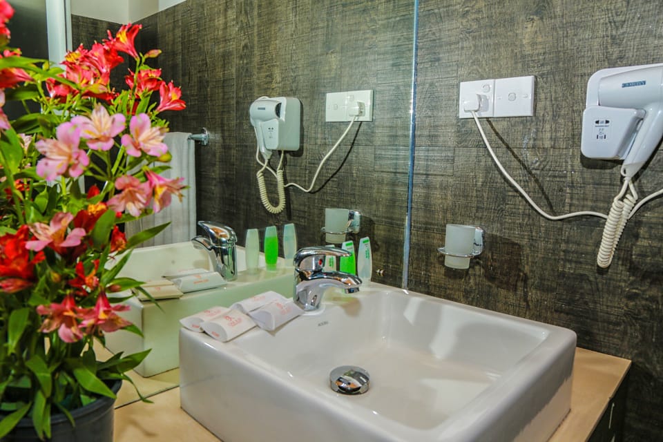 Deluxe Room | Bathroom | Shower, rainfall showerhead, free toiletries, bidet