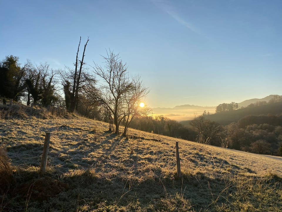 PHOTO 2025 01 01 21 32 43