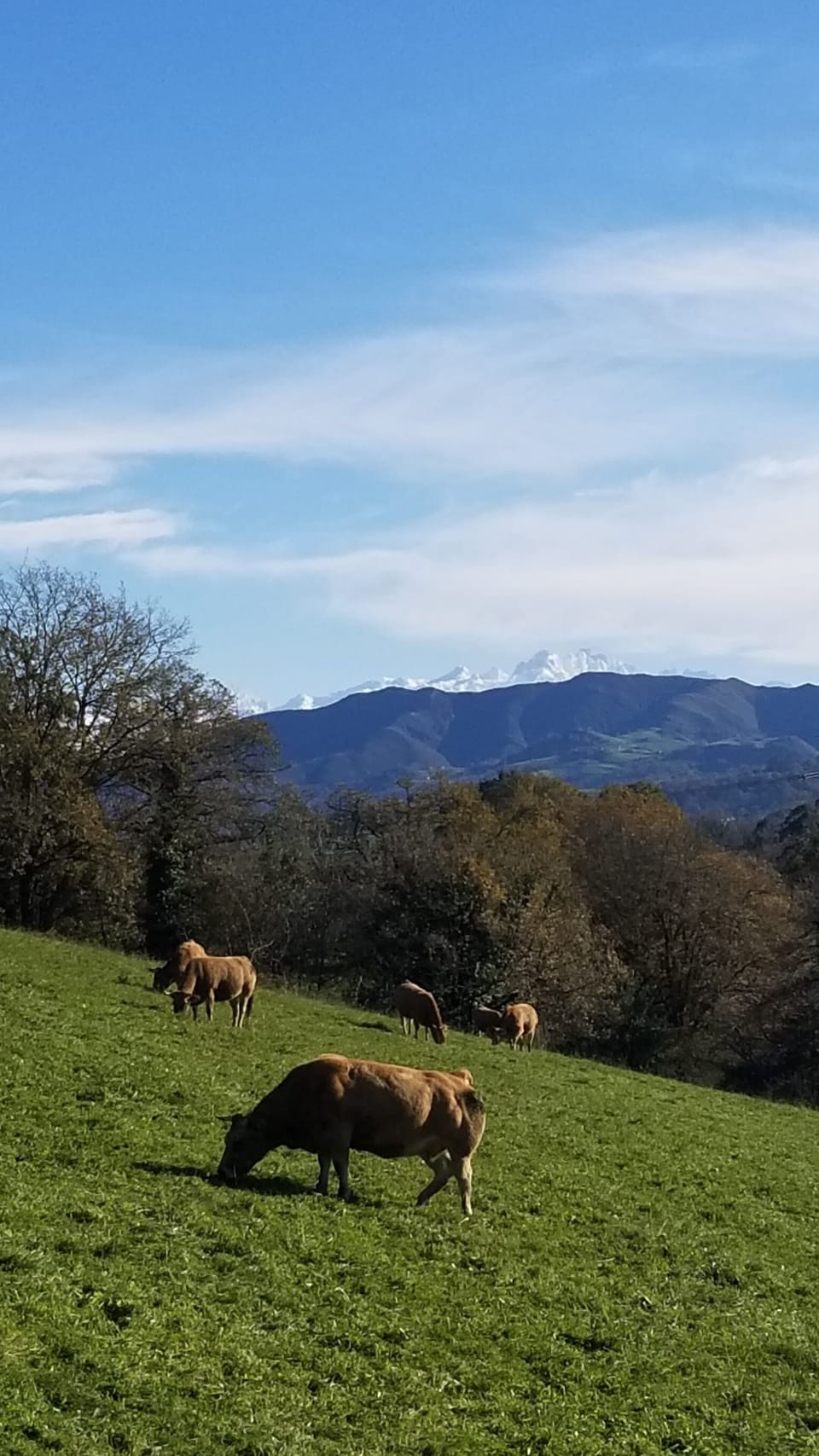 PHOTO 2024 12 13 17 35 56