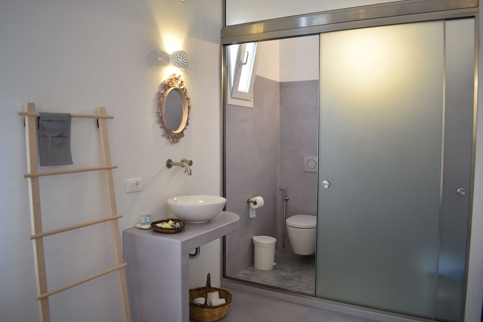 Classic Double Room | Bathroom | Shower, rainfall showerhead, hair dryer, towels