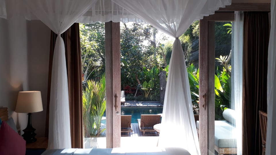 Deluxe Room | View from room