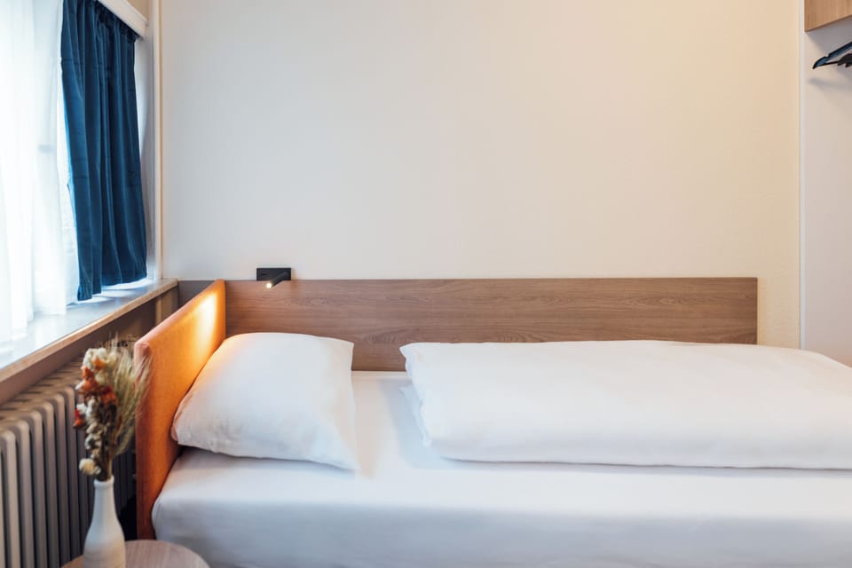Single Room, Private Bathroom, Garden View | Desk, laptop workspace, soundproofing, free WiFi