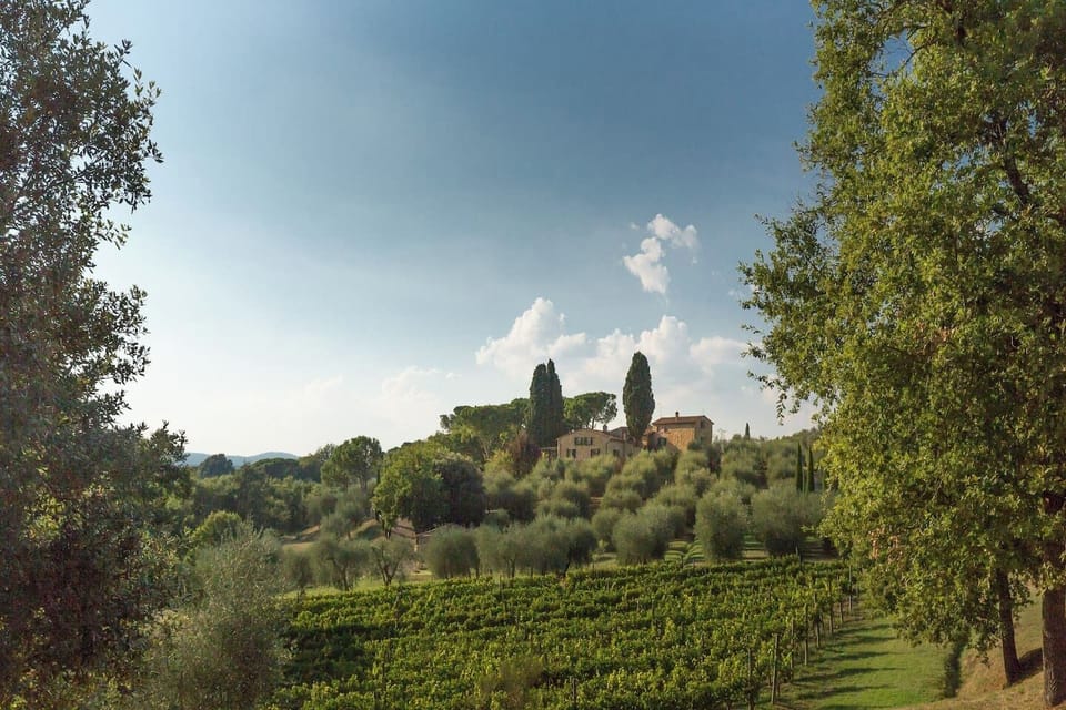 Villa view 
