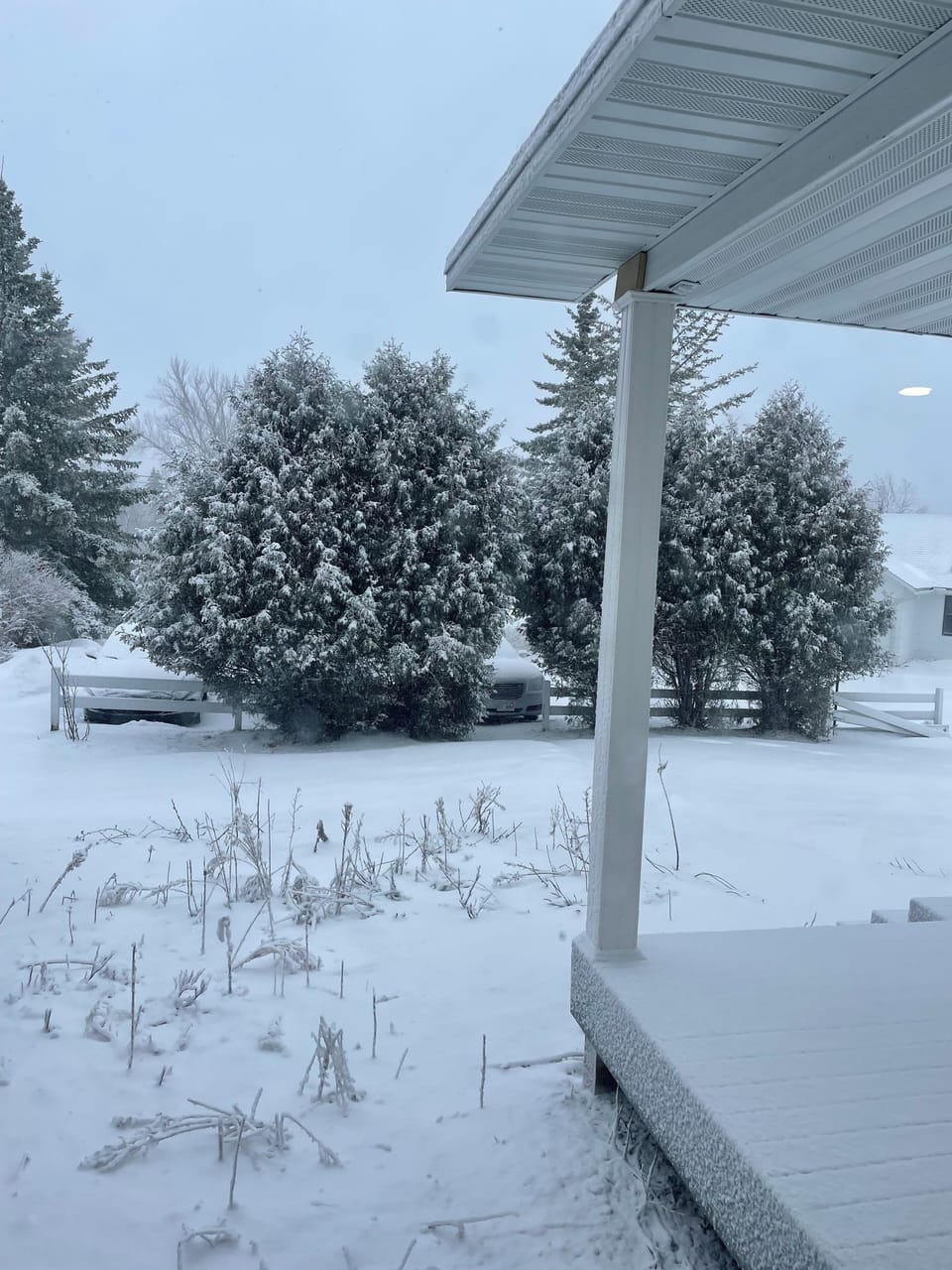 View from the front window in winter.