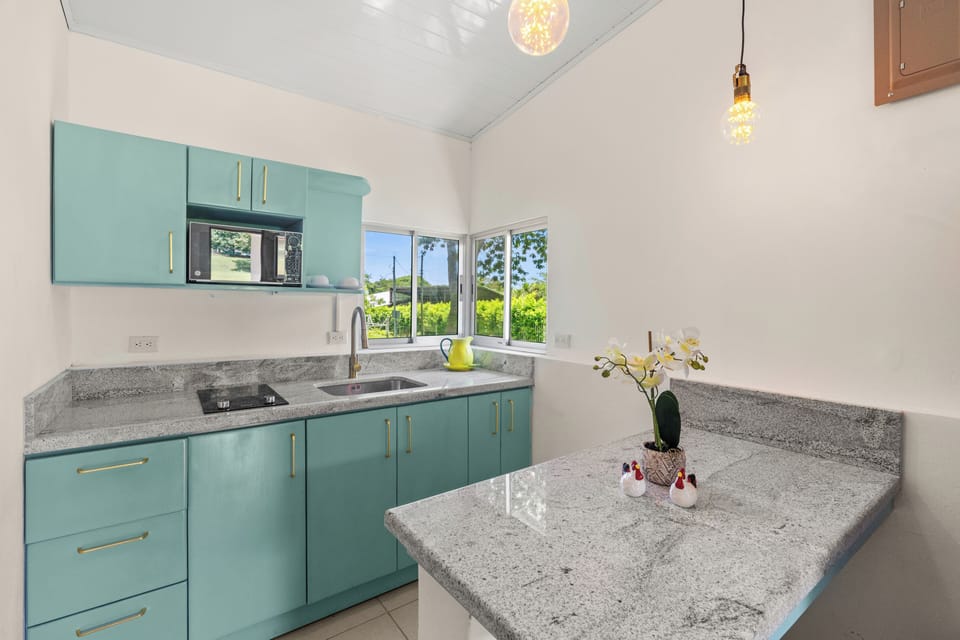 Deluxe Suite, Mountain View | Private kitchen | Full-size fridge, microwave, stovetop, coffee/tea maker