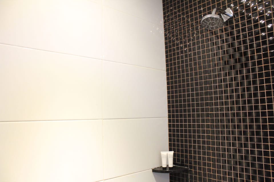 Shower, free toiletries, hair dryer, bathrobes