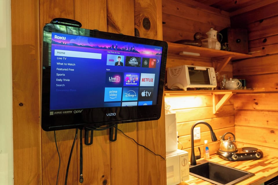Kitchen/TV Detail #1