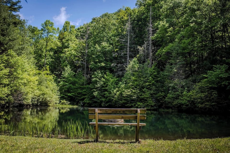 Trout Pond
