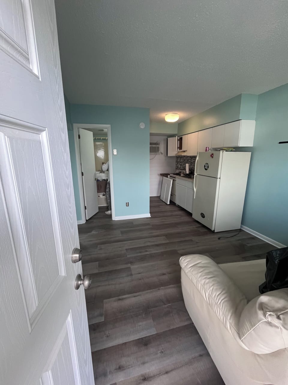 Living area with queen sleeper