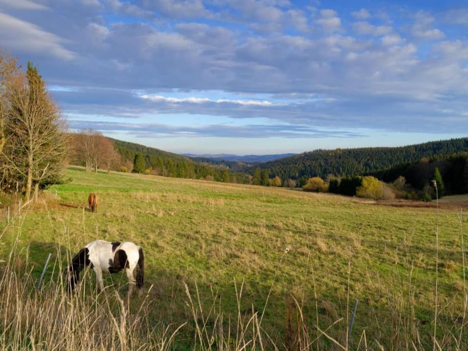 Surroundings [summer] (1-5 km)