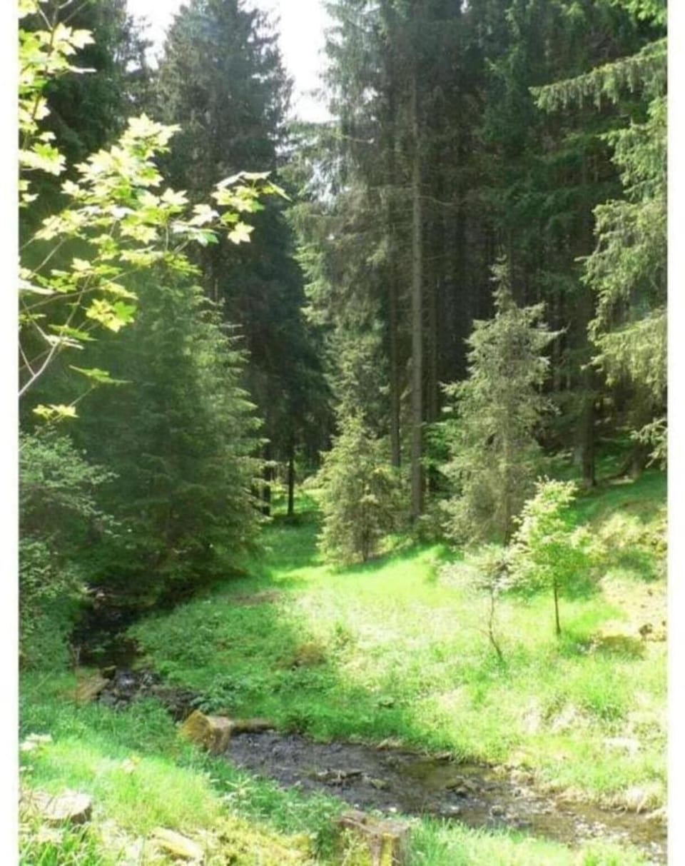 Surroundings [summer] (1-5 km)