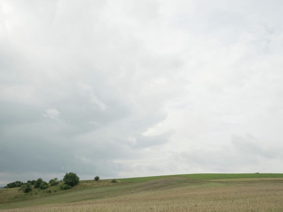 Immediate Surroundings [summer] (<1 km)