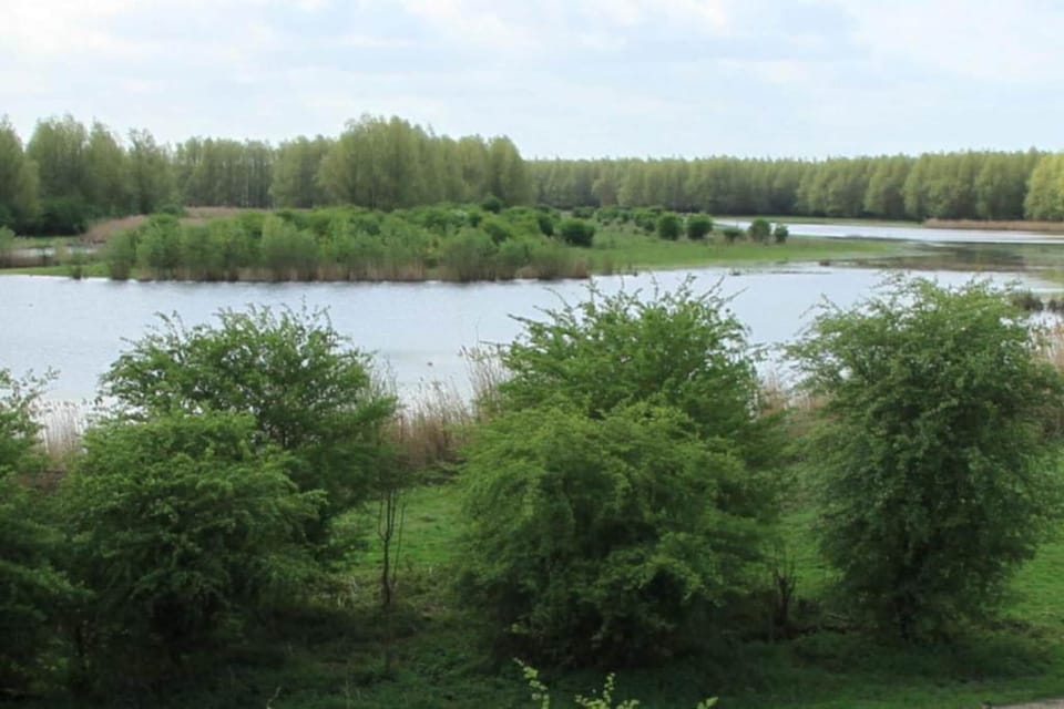 Region [summer] (>5 km)