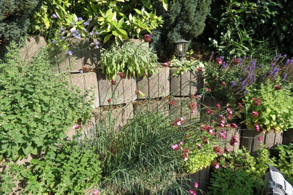 Holiday Home Facilities and Services