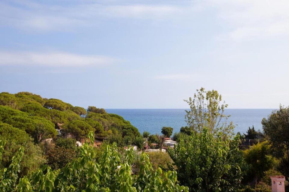 Surroundings [summer] (1-5 km)