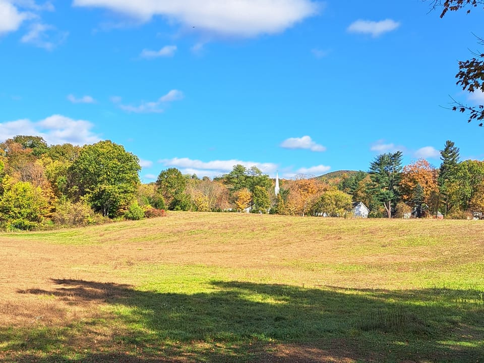 View from rear of living room.
