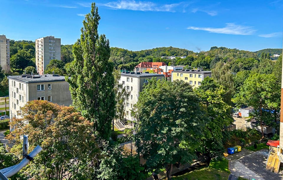 view-from-room