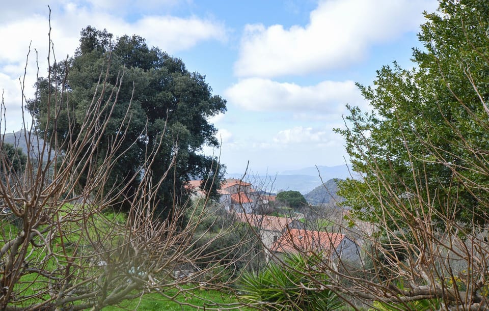 view-from-room