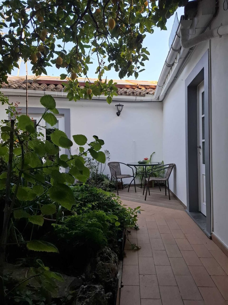 jardim interior 