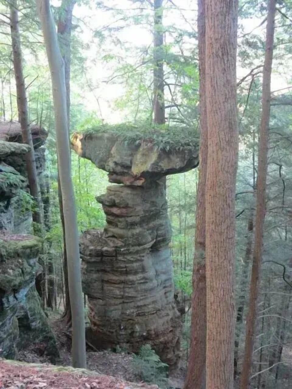 Trail within walking distance