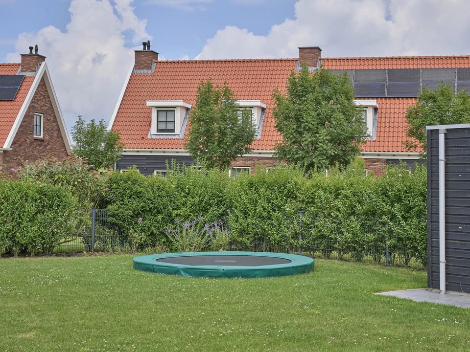 Garden [summer]