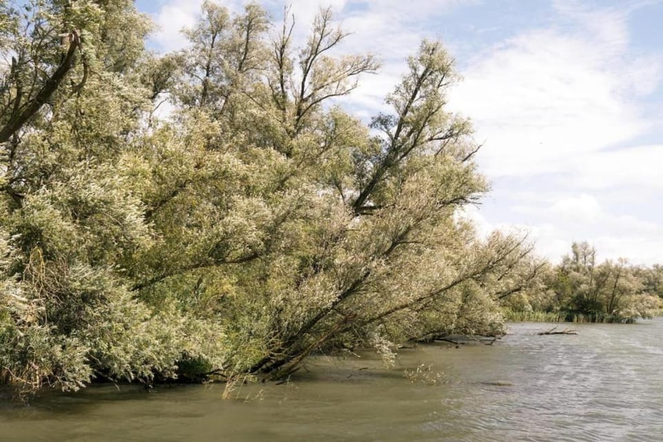 Surroundings [summer] (1-5 km)