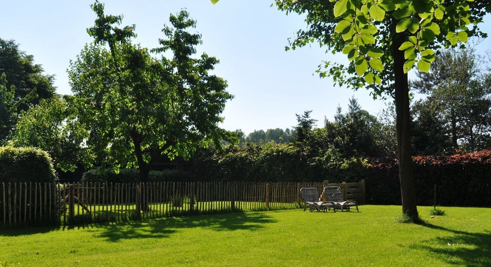 Garden [summer]