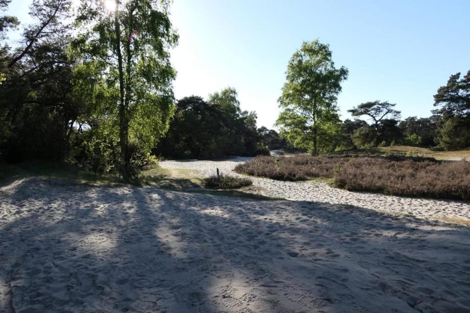 Surroundings [summer] (1-5 km)