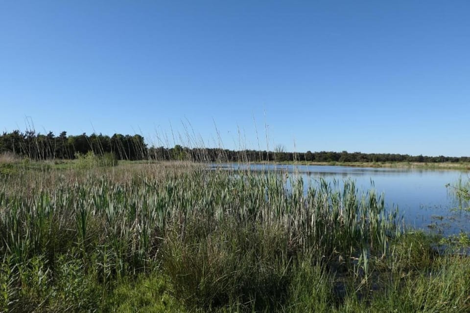 Surroundings [summer] (1-5 km)