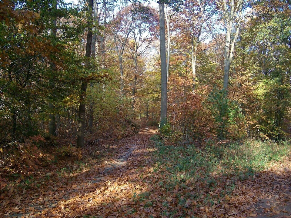 Immediate Surroundings [winter] (<1 km)