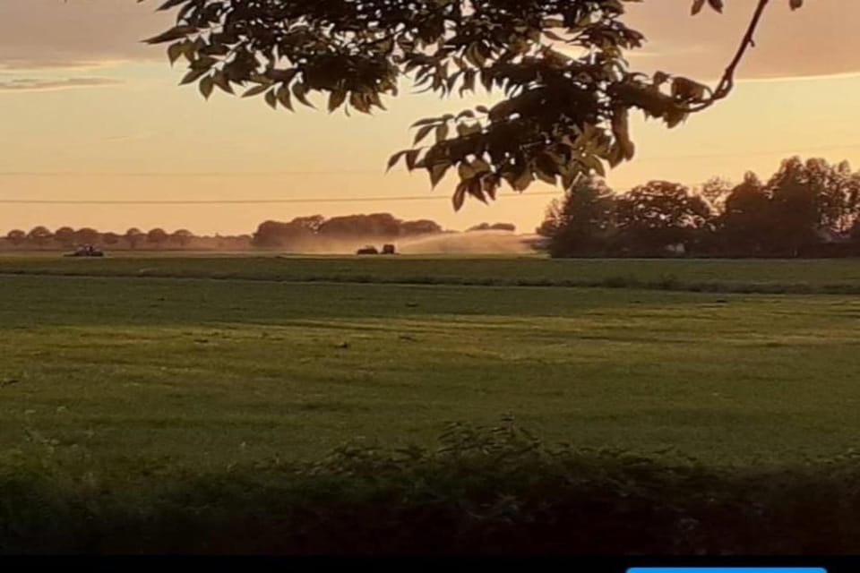 Region [summer] (>5 km)
