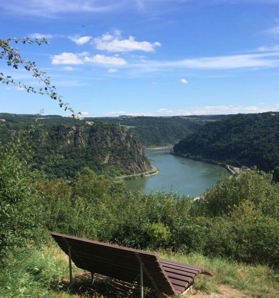 Region [summer] (>5 km)