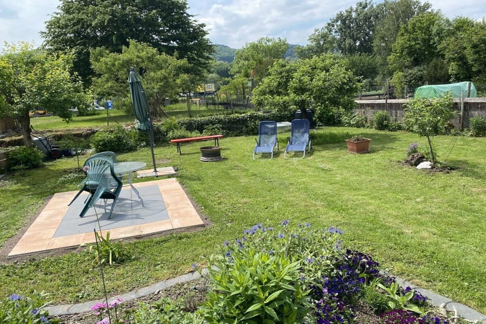 Garden [summer]