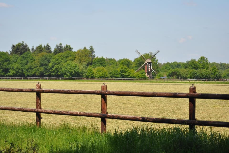 Surroundings [summer] (1-5 km)