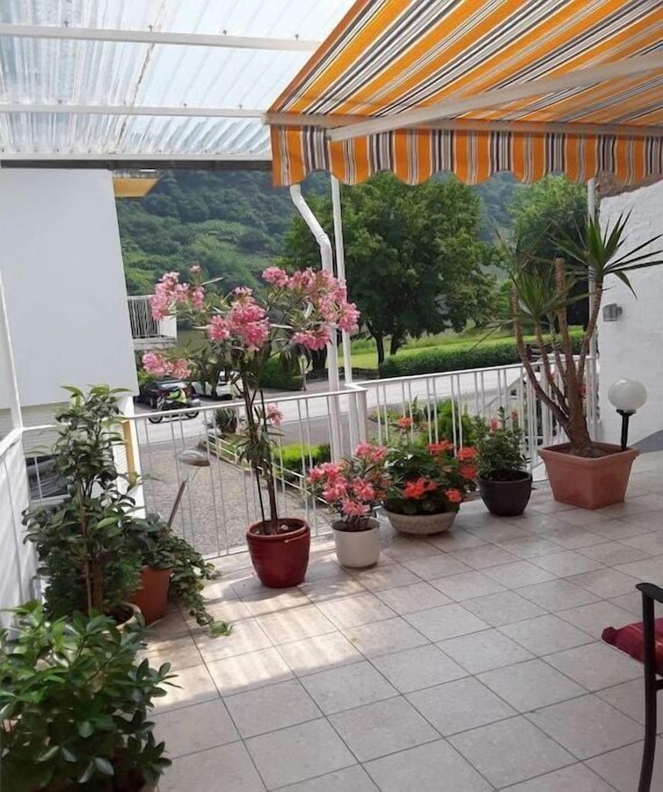 terrace