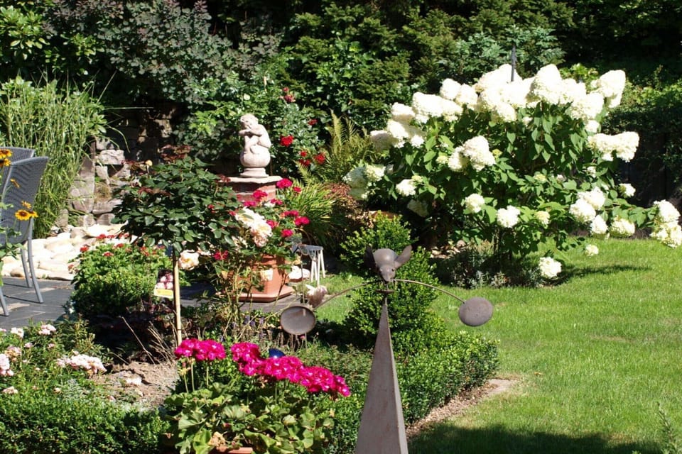 Garden [summer]