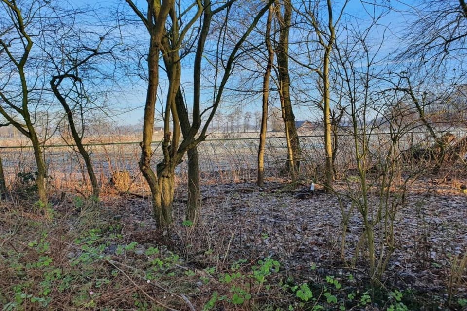Immediate Surroundings [summer] (<1 km)