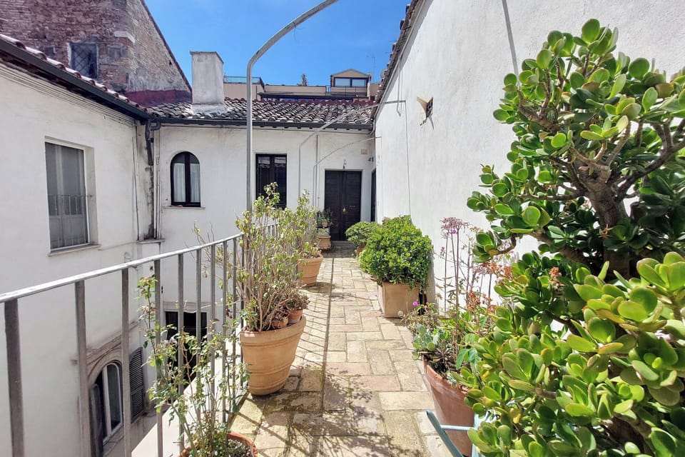 Apartment (1 Bedroom) | Terrace/patio
