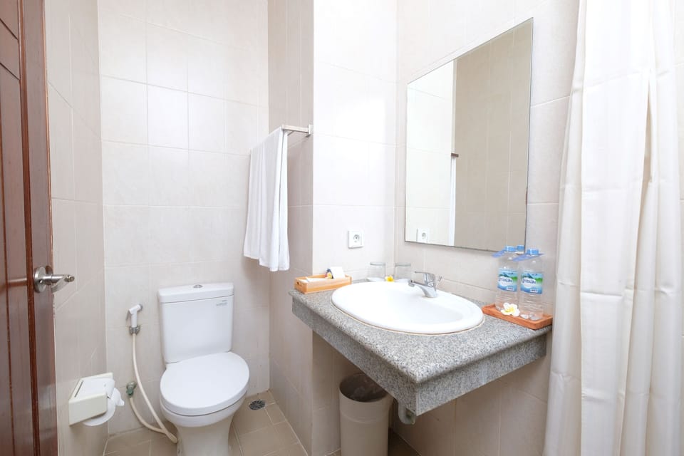 Shower, free toiletries, hair dryer, bathrobes