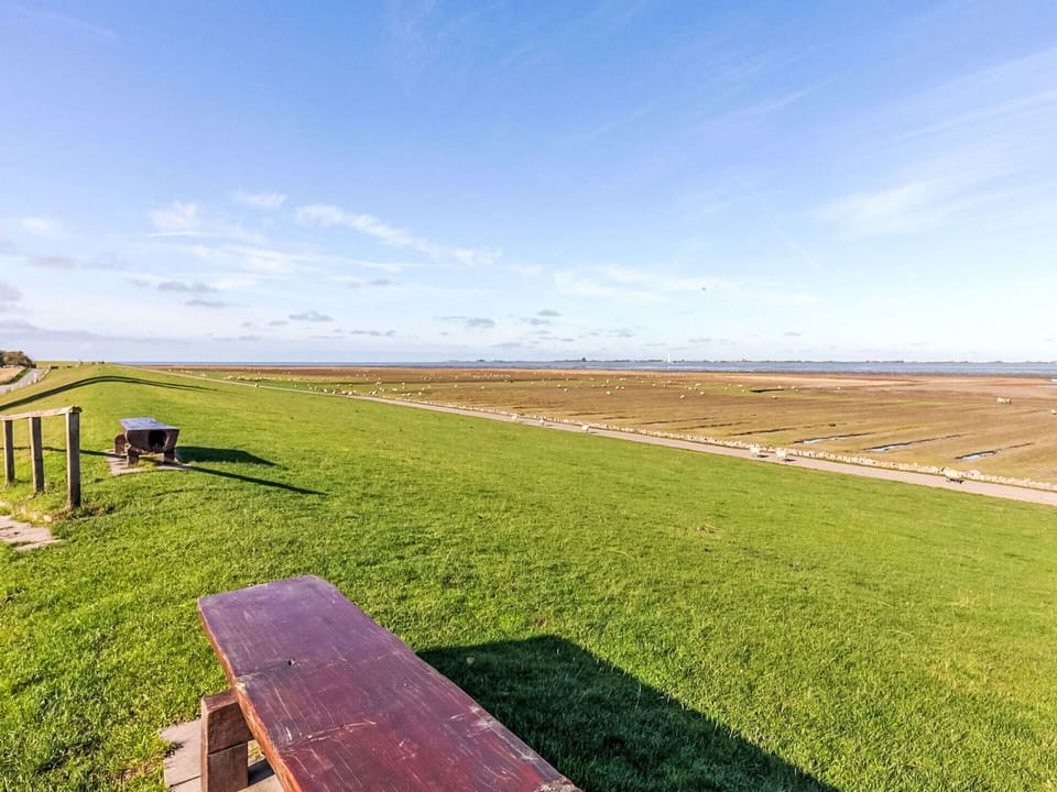 Sky, Green, Grass, Horizon, Grassland, Plain, Ecoregion, Field, Land Lot, Prairie