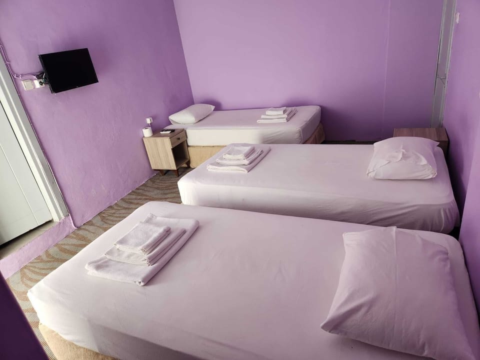 Triple Room, Balcony, City View | WiFi (free), bed sheets