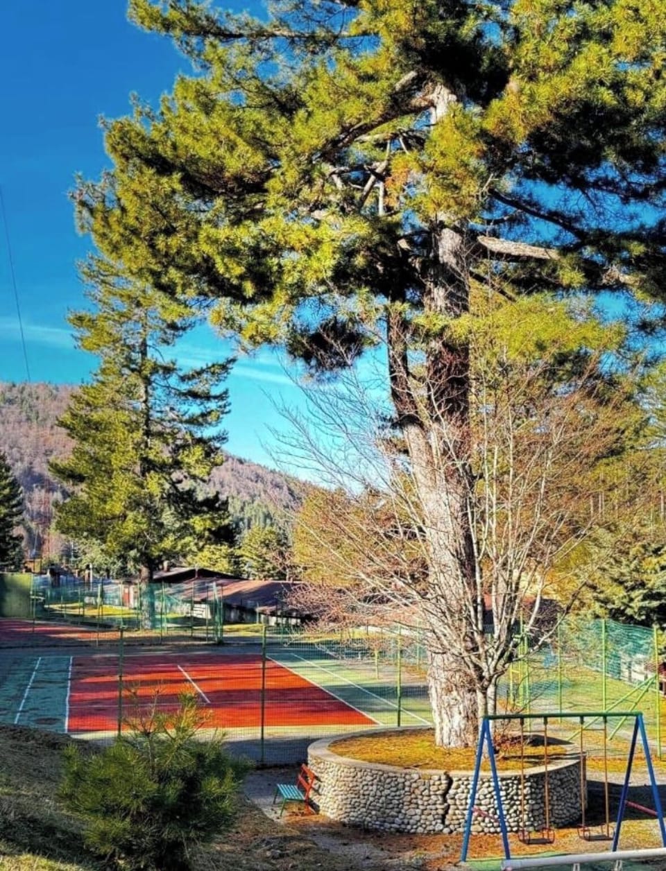 Sport court