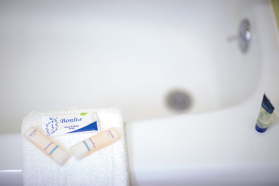 Combined shower/tub, free toiletries, hair dryer, towels