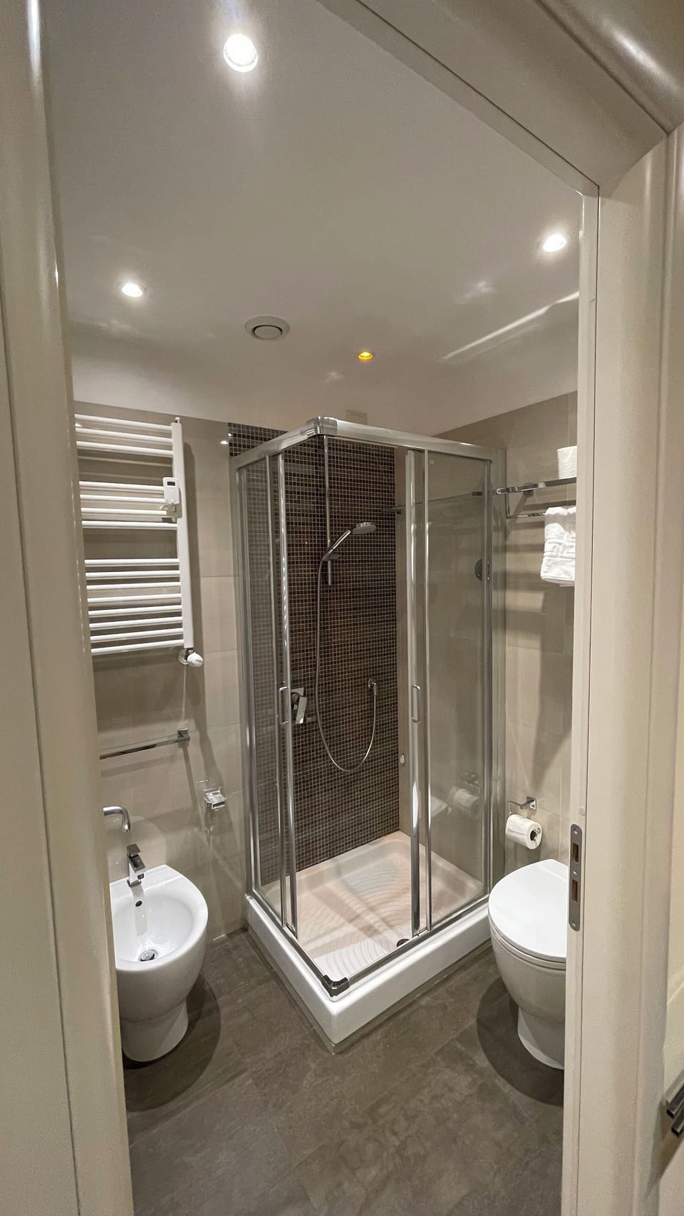 Shower, bidet, towels, toilet paper