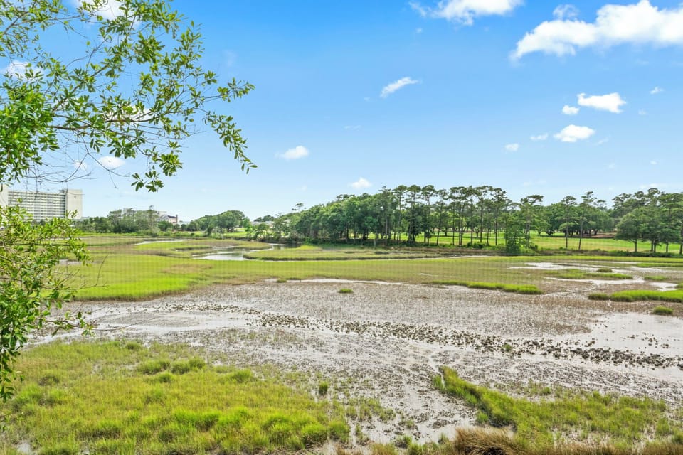 View of the Dunes golf course