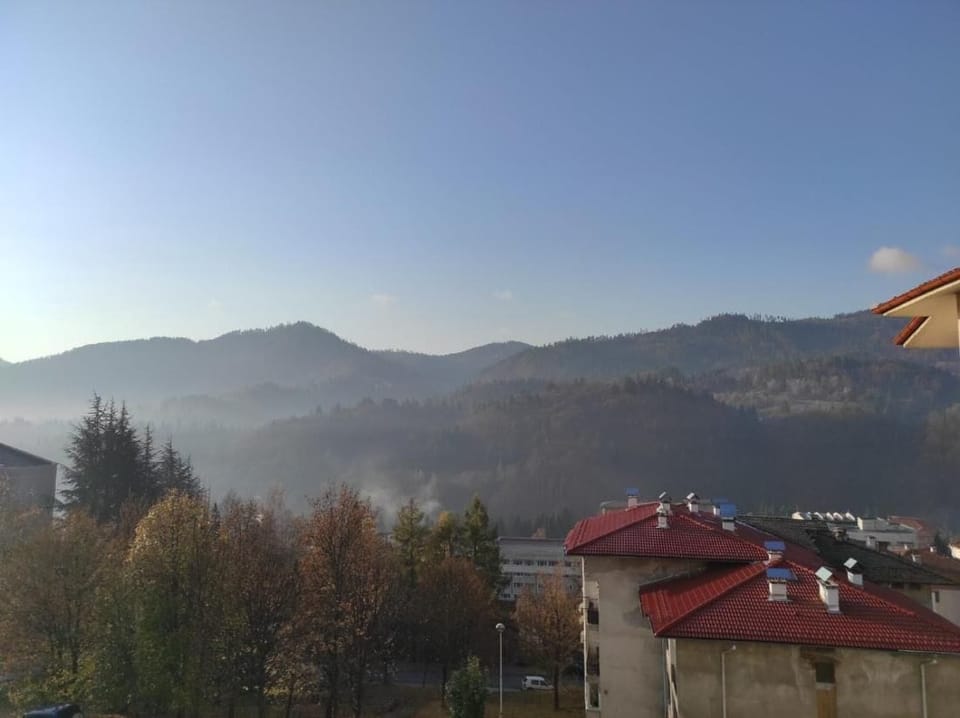 Apartment, 1 Bedroom, Balcony, Mountain View | Miscellaneous